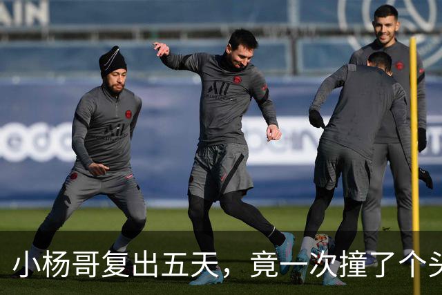小杨哥复出五天，竟一次撞了个头破血流！